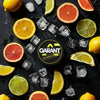 Garant Nicotine Pouches - Pack of 10 - Citrus