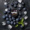 Garant Nicotine Pouches - Pack of 10 - Ice Blue Berry